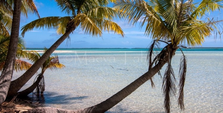 Mataiva_lagon